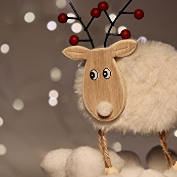 Activité bricolage de Noël 'Rennes gourmands' - LUXEUIL-LES-BAINS