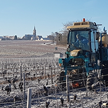 Domaine de Riaux - SAINT-ANDELAIN