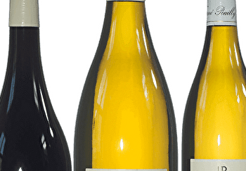 Domaine Guy Baudin - POUILLY-SUR-LOIRE