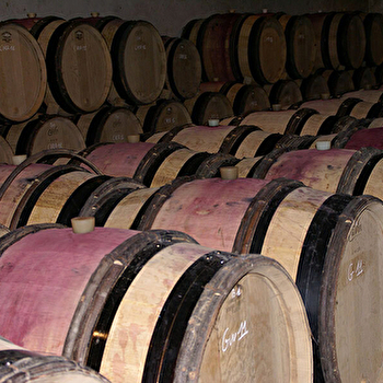 Domaine des Beaumont - MOREY-SAINT-DENIS