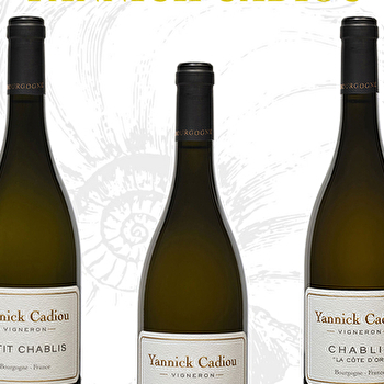 Cadiou Yannick - BLEIGNY-LE-CARREAU