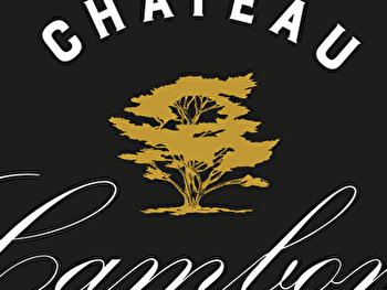 Domaine du Château Cambon - BELLEVILLE-EN-BEAUJOLAIS