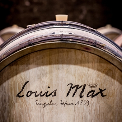 Louis Max