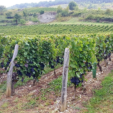 Caveau Pierre DUBREUIL