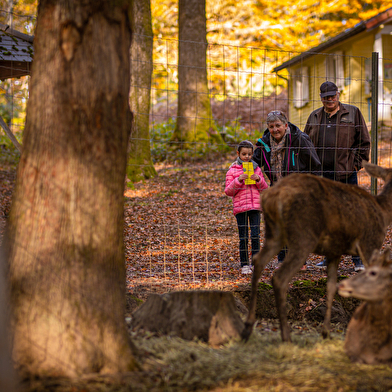 Parc Animalier de Fougerolles-Saint-Valbert