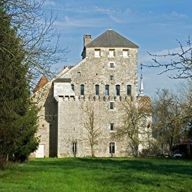 Château de Valleroy