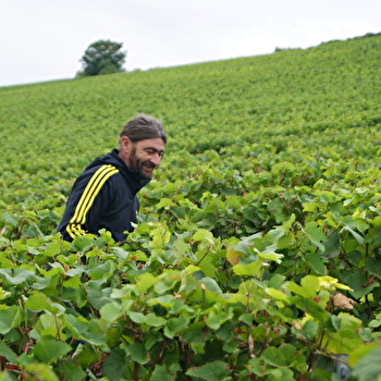 Houzé Cyril  - MONTHOLON