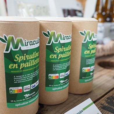 Visite d'une ferme de Spiruline