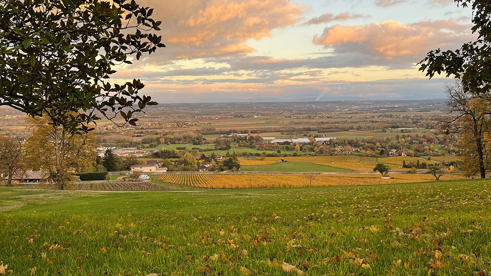Château de Lachassagne