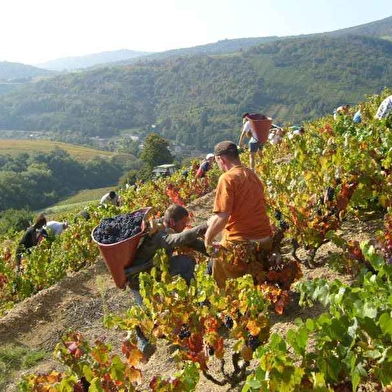 EARL Bulliat Père et fils