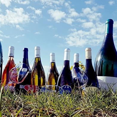 Domaine Raimbault-Pineau