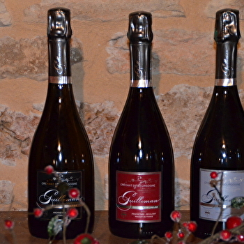 Guilleman - MARCENAY