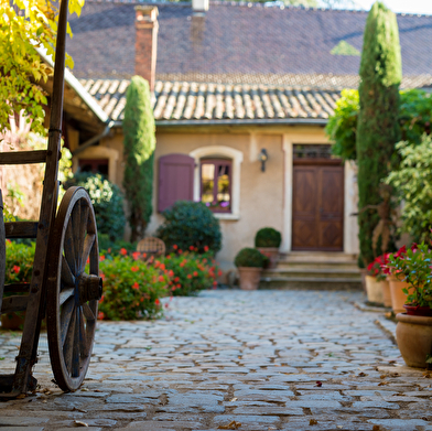 Domaine Château Thivin