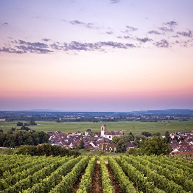 Berthelemot Brigitte