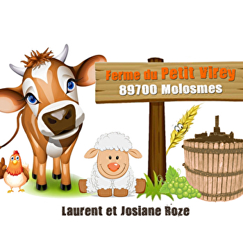 Roze Laurent - MOLOSMES