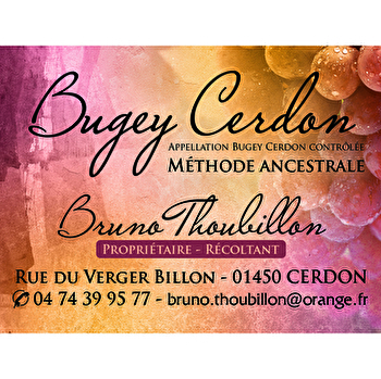 Caveau Bruno THOUBILLON - CERDON