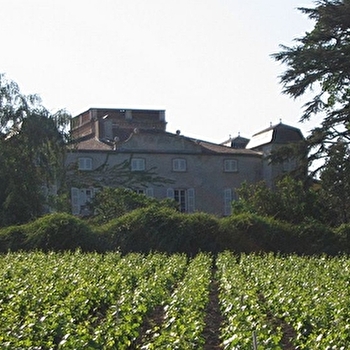 Domaine du Château de Grand Pré - FLEURIE