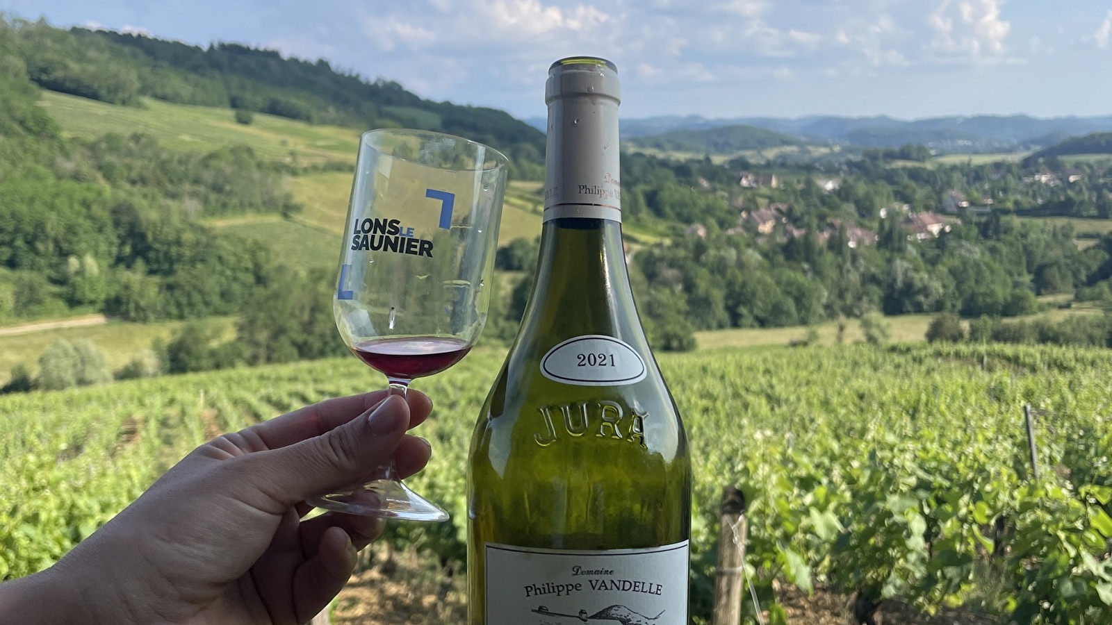 Domaine Philippe Vandelle