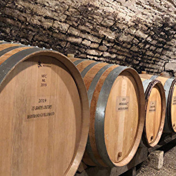 Guillemaud Bertrand  - MEURSAULT