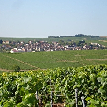 Lhéritier Duchêne - SAINT-BRIS-LE-VINEUX