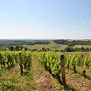 Domaine du Puits de Compostelle - LA CELLE-SUR-NIEVRE