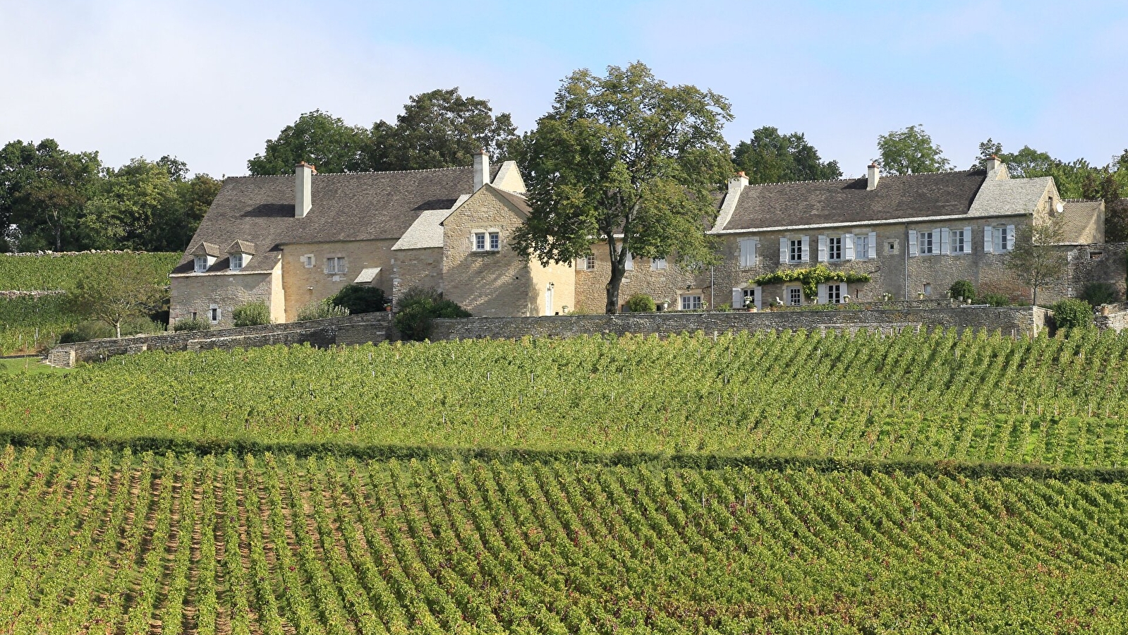 Domaine du Cellier aux Moines