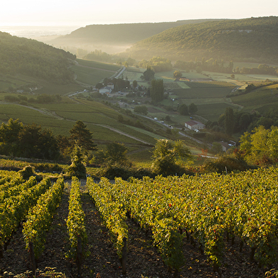 Buisson Henri & Gilles