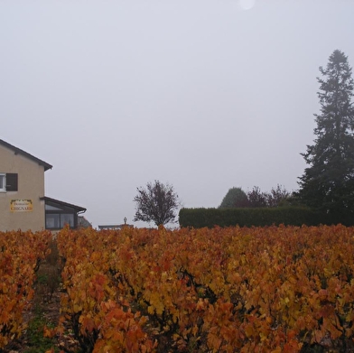 Domaine Chignard