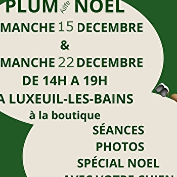 Séances photos spécial Noël avec votre chien - LUXEUIL-LES-BAINS