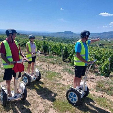 Domaine Passot-Collonge