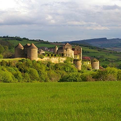 Société Viticole du Château de Berzé