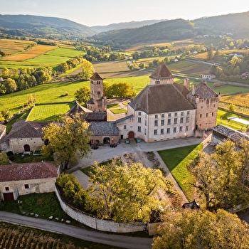 Château de Pierreclos - PIERRECLOS