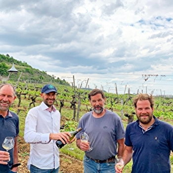 Roy - AUXEY-DURESSES