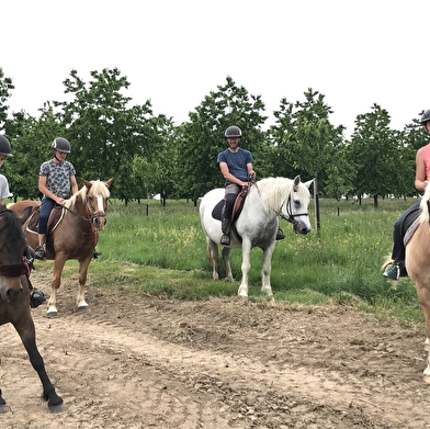 Le Sarcenot à Poney