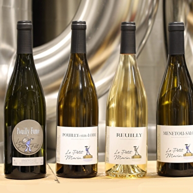 Domaine Petit et Fille