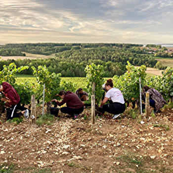 Thiéblemont Lucie - FLEYS