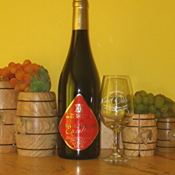 Domaine de Saint-Odile - BELLEVILLE-EN-BEAUJOLAIS