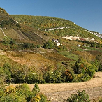 Caveau Grivet - BRIORD