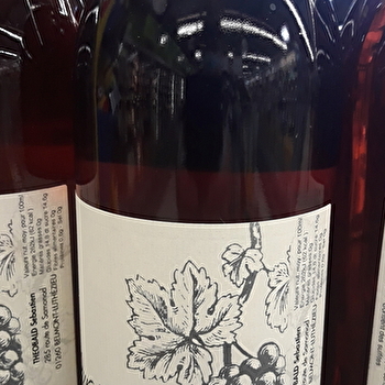 THEOBALD Sébastien - Vins du Bugey et jus de raisin - VALROMEY-SUR-SERAN