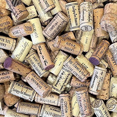 Bourgogne de Vigne en Verre