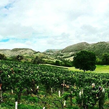 Caveau Bertrand-Chapel - BOYEUX-SAINT-JEROME