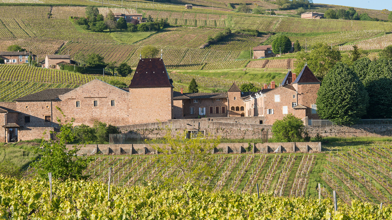 Château de Juliénas