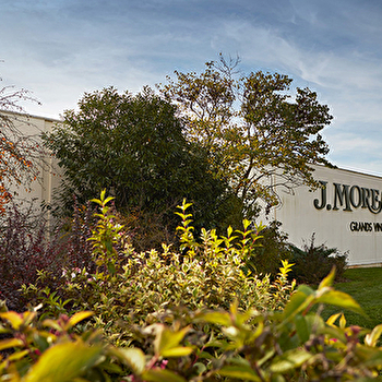 Moreau J. et Fils - CHABLIS