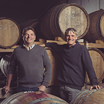 Vignoble Dampt Frères - COLLAN