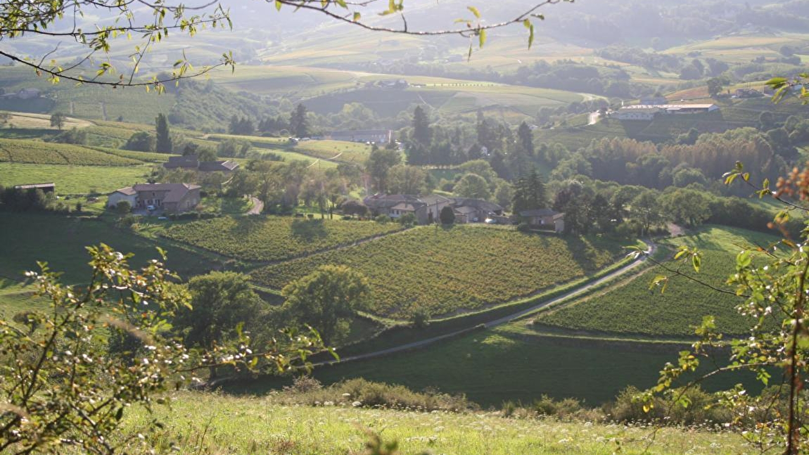 Domaine de Côtes Remont