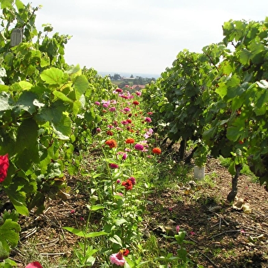 Domaine Crêt des Garanches