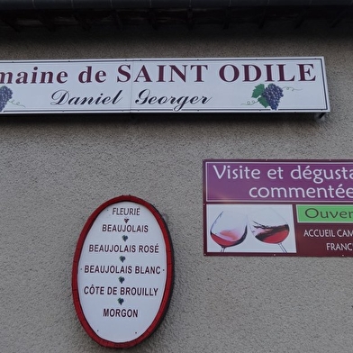 Domaine de Saint-Odile