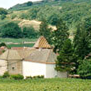 Bachey-Legros - SANTENAY