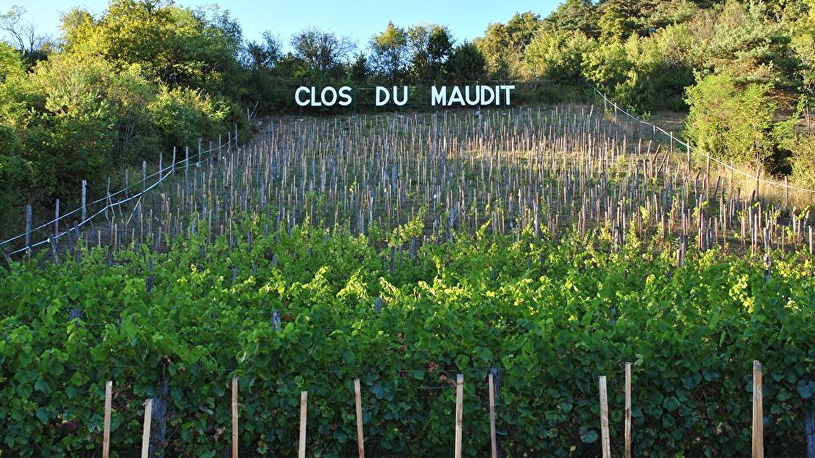 Domaine du Bourg d'Oiseau