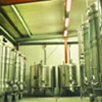 Robin Louis - CHICHEE